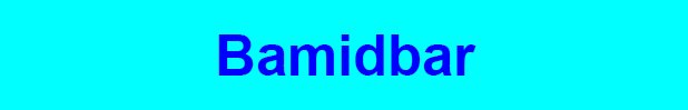 Bamidbar