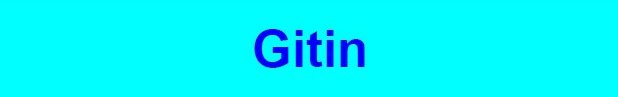 Gitin